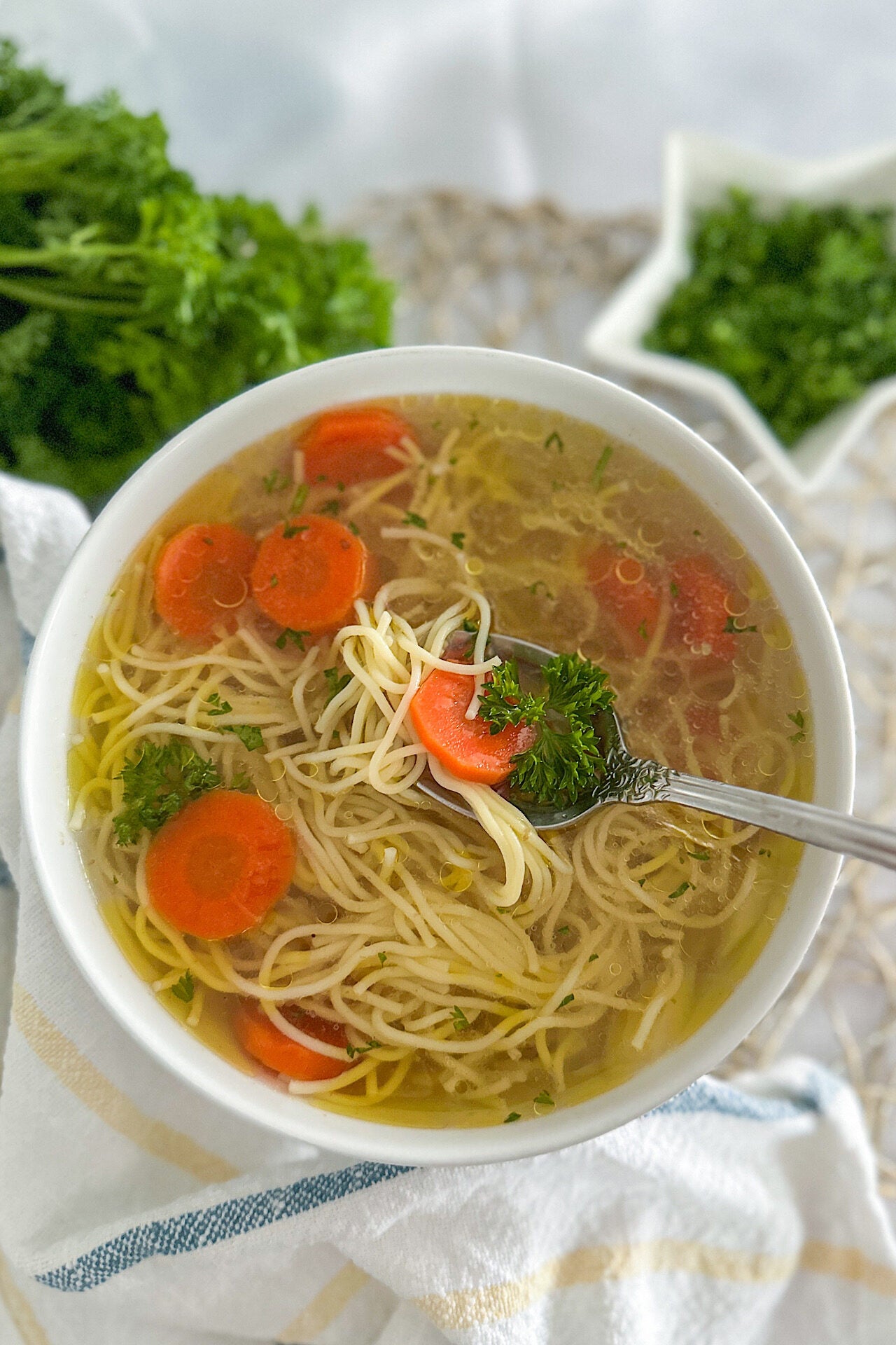 Polish Chicken Soup